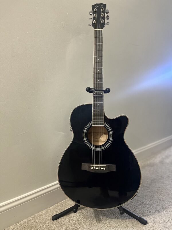 stylish black electric guitar with stand